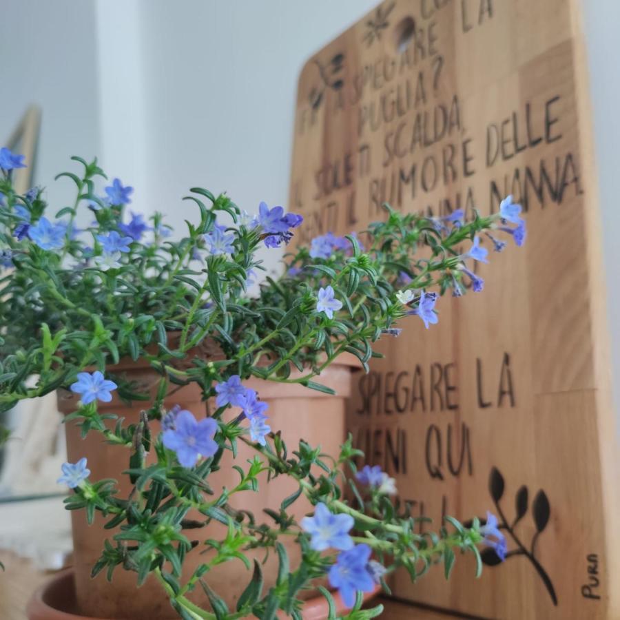 Pura B&B Noicattaro Luaran gambar